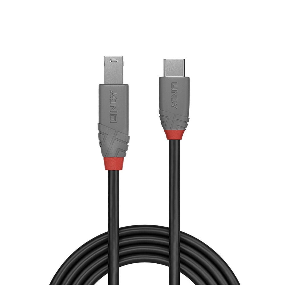 Câble USB-C vers USB B LINDY 36666 1 m