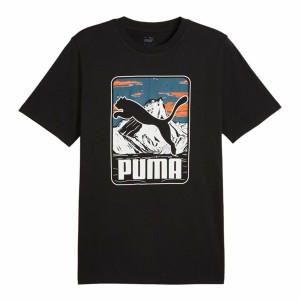 Herren Kurzarm-T-Shirt Puma GRAPHICS Mountain