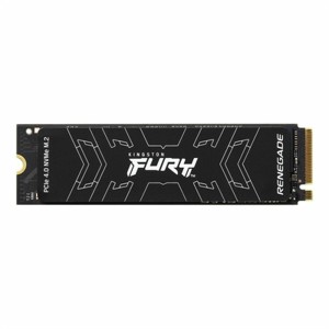 Hard Drive Kingston FURY Renegade 500 GB SSD