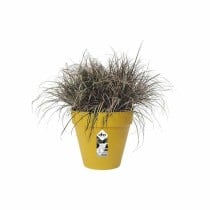 Blumentopf Elho Loft Urban 25 Gelb Ø 24,5 x 22,2 cm