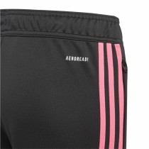 Children’s Sports Shorts Adidas Tiro23 Cbtr