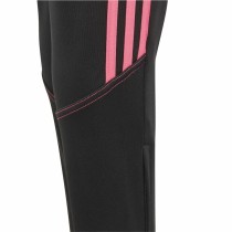 Kinder-Sporthosen Adidas Tiro23 Cbtr