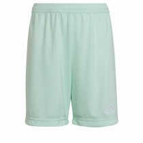 Children’s Sports Shorts Adidas HC5058 Light Blue