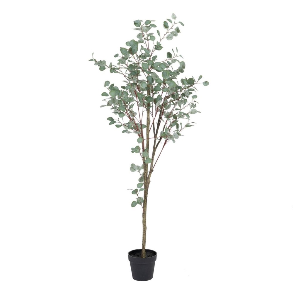 Decorative Plant Polyethylene Eucalyptus 80 x 82 x 180 cm