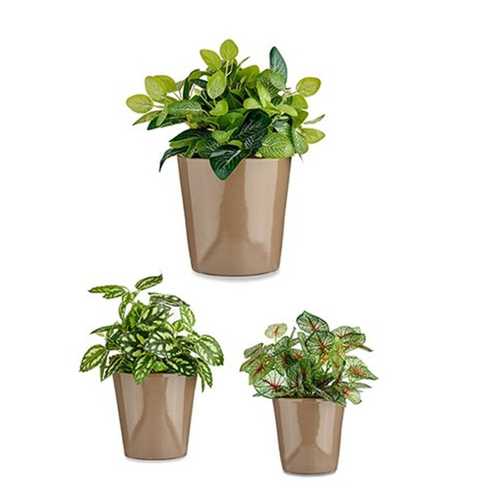 Set of pots Ibergarden Cónica Ø 14 cm Ø 22 cm Ø 17 cm Plastic 30 x 40 cm 3 Pieces (3 Pieces)