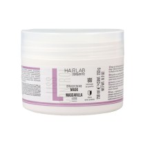 Haarmaske Salerm Hair Lab 250 ml Glattes Haar