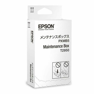 Original Tintenpatrone Epson T2950 Schwarz