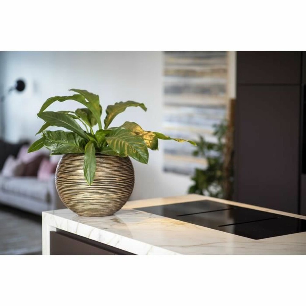 Planter Capi Europe Golden Plastic Circular Ø 40 cm