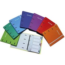 Ring binder Pacsa Carpeblock A4 1 Unit