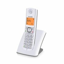 Kabelloses Telefon Alcatel F530SG Grau Weiß/Grau