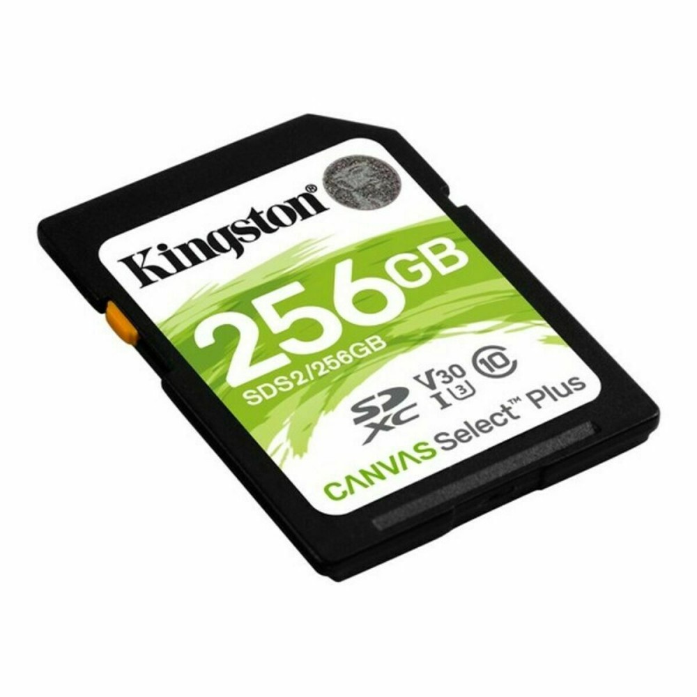 Carte Mémoire SD Kingston SDS2/256GB 256 GB