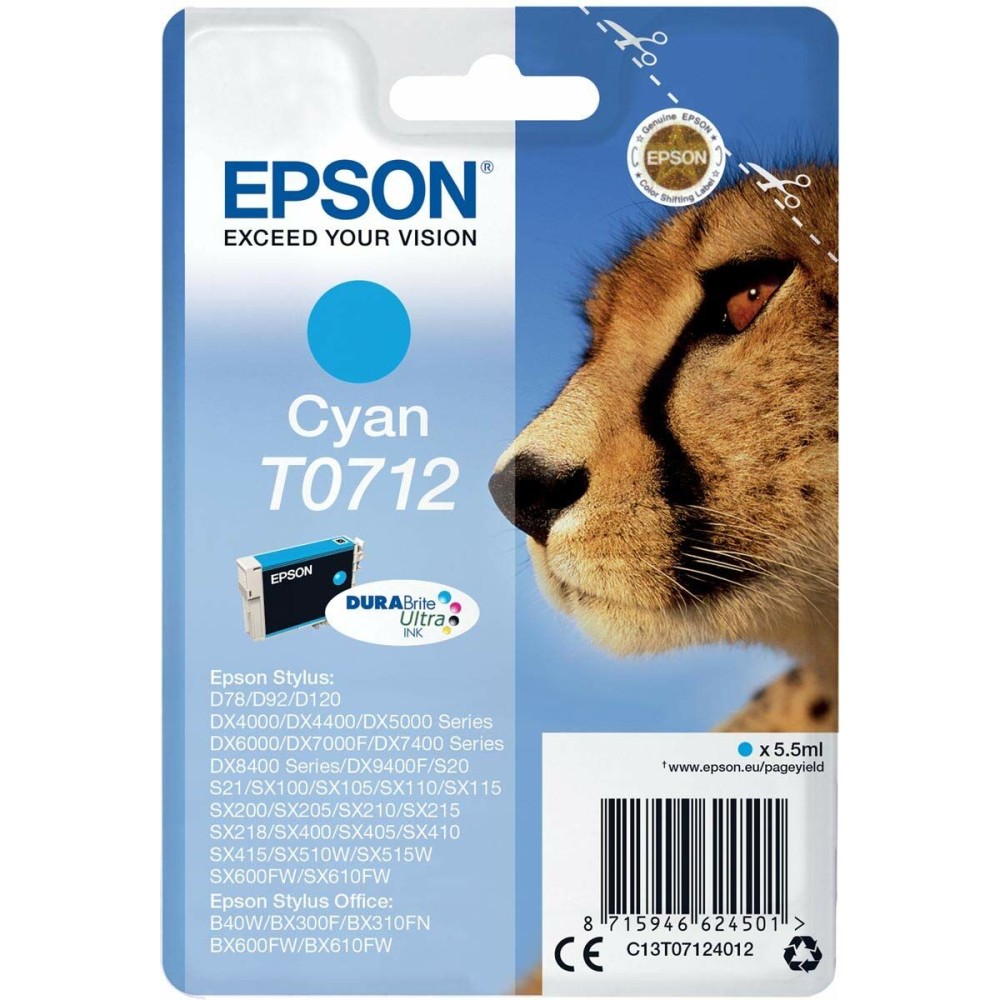 Original Tintenpatrone Epson Stylus D-78/92/120/DX-4000/5000/6000/7000F Türkis (10 Stück)