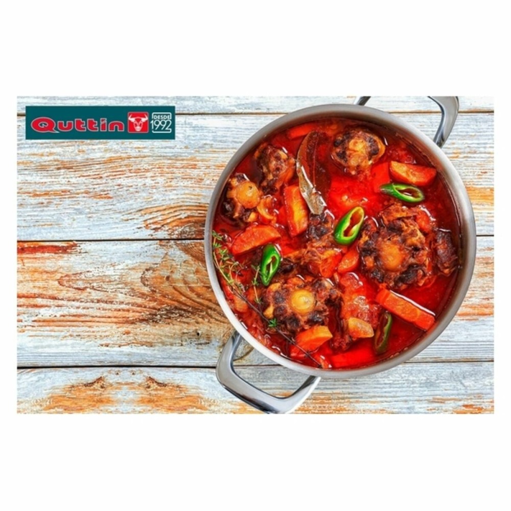 Pan Quttin 139513 Steel 10 L (2 Units)