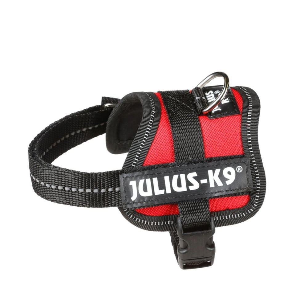 Harnais pour Chien Julius K9 Power Rouge 1 Baby 1 (XS)