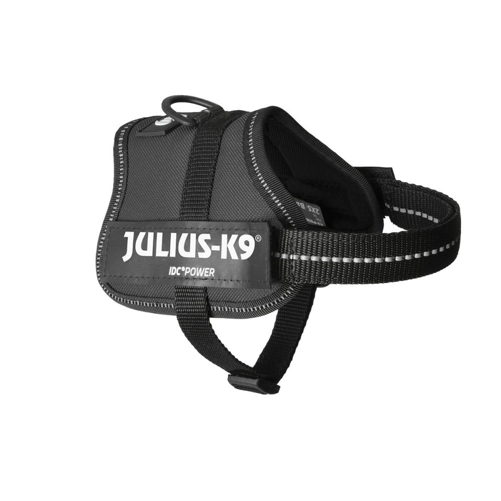 Harnais pour Chien Julius K9 Power Noir 2 Baby 2 (XS/S)