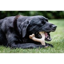 Hundespielzeug Nylabone Huhn 11 Creme tiere