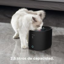 Pet Water Fountain Cecotec