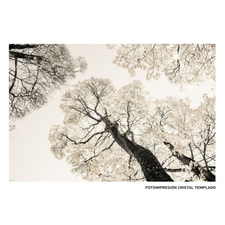 Toile Arbres 120 x 4 x 80 cm