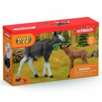 Playset Schleich 42629