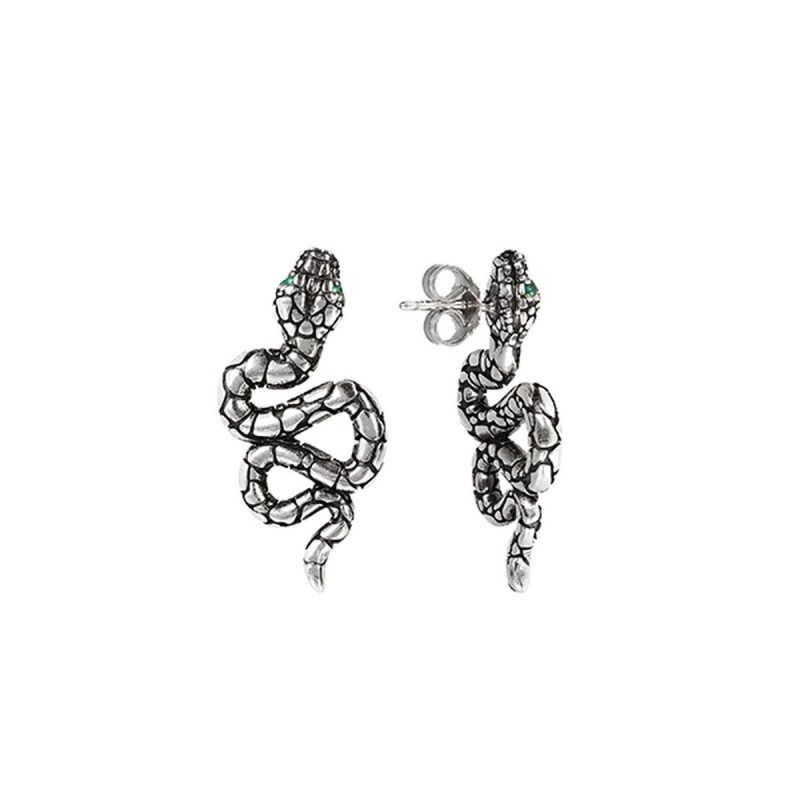 Ladies' Earrings Albert M. WSOX00307.GAG