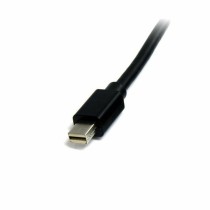 Mini câble DisplayPort Startech MDISP2M 4K Ultra HD 2 m Noir