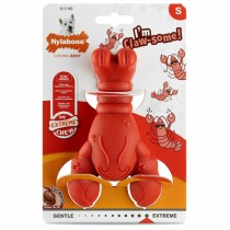 Jouet pour chien Nylabone Rouge Viande de bœuf Artificielle S