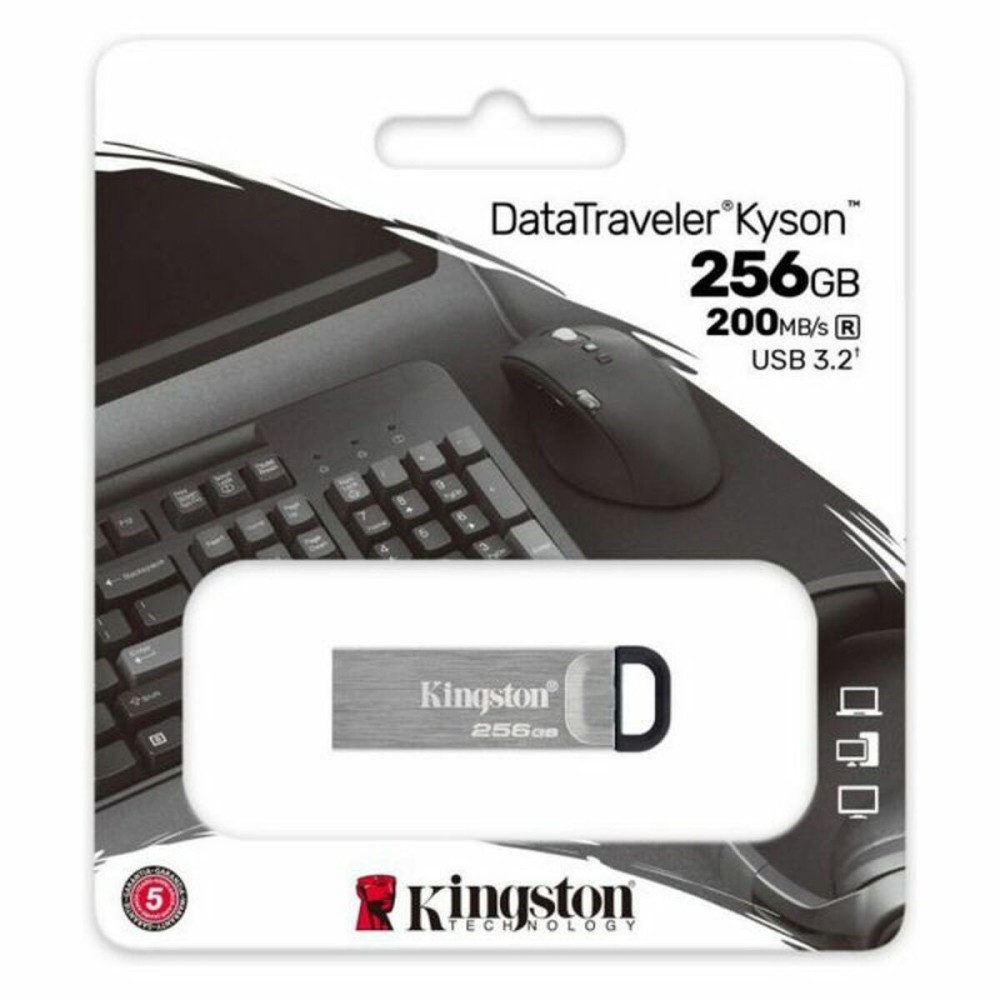 Pendrive Kingston DTKN/256GB 256 GB USB 3.2 Black 256 GB