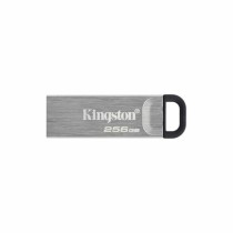 Pendrive Kingston DTKN/256GB 256 GB USB 3.2 Schwarz 256 GB