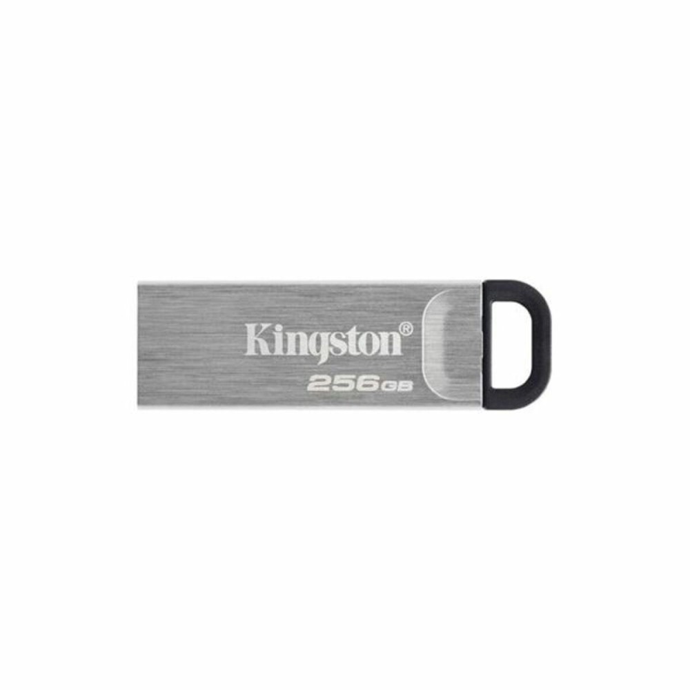 Pendrive Kingston DTKN/256GB 256 GB USB 3.2 Black 256 GB