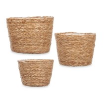 Lot de paniers GiftDecor LR23239 Naturel alfa (6 Unités)