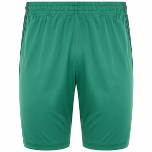 Men's Sports Shorts Kappa DELEBIO Green