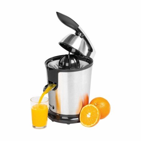 Electric Juicer FAGOR FGE618G Grey 300 W