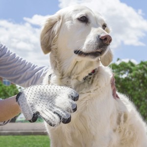 Gant pour Brosser et Masser les Animaux Domestiques Relpet InnovaGoods