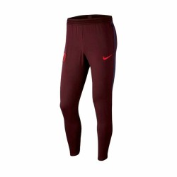 Fußball-Trainingshose für Erwachsene F.C. Barcelona Nike Dri-FIT Strike Herren Dunkelrot