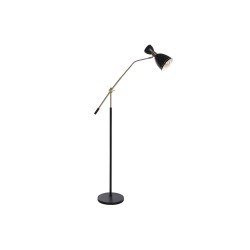 Lampadaire DKD Home Decor 109 x 30 x 168 cm Noir Doré Métal 220 V 50 W