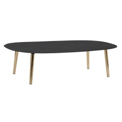 Centre Table DKD Home Decor 122 x 60 x 30 cm Aluminium Iron