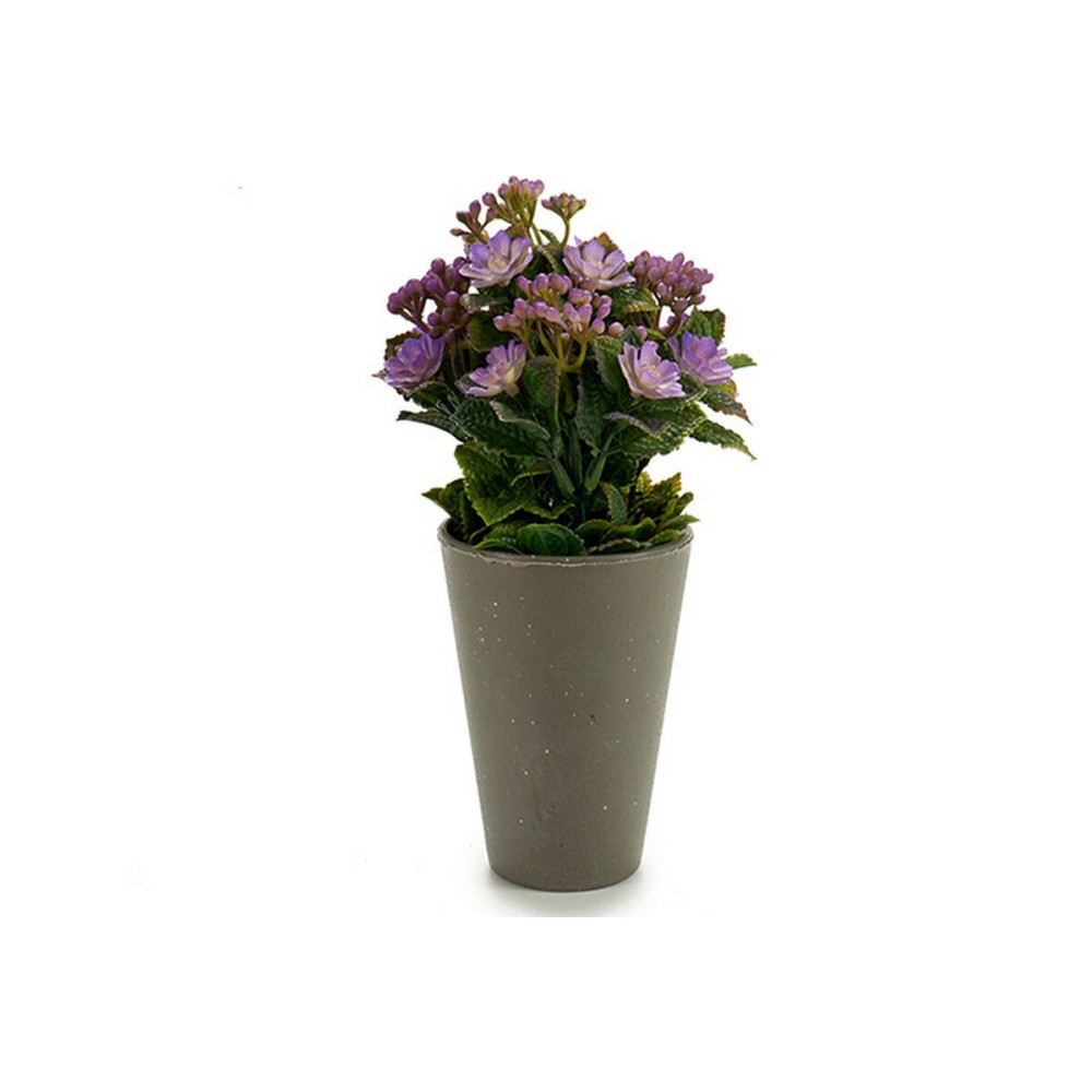 Decorative Plant Ibergarden Plastic 11 x 22 x 11 cm