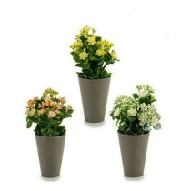 Decorative Plant Ibergarden Plastic 11 x 22 x 11 cm