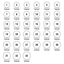 Damenring Folli Follie 3R2T009RC-54 (14)