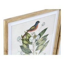 Bild DKD Home Decor Bird 55 x 2,5 x 70 cm Tropical Vögel (4 Stücke)