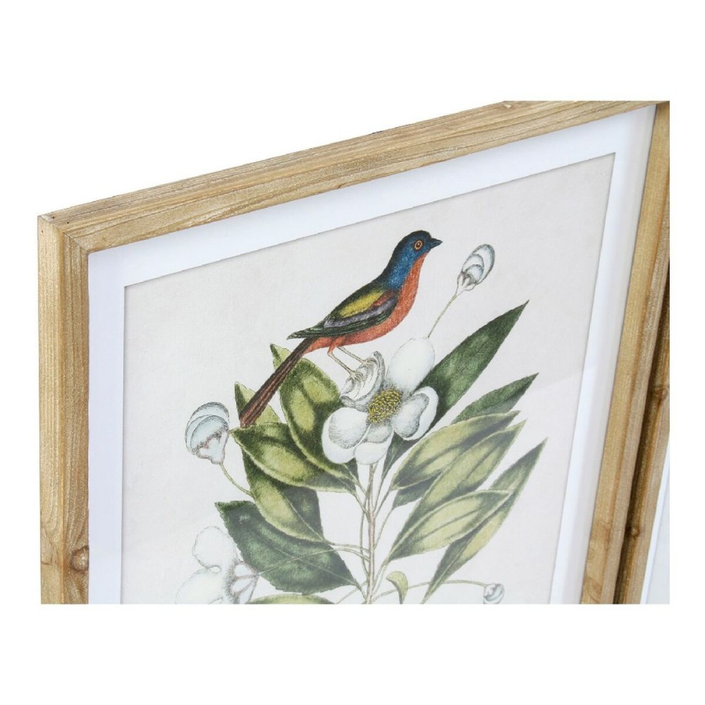 Painting DKD Home Decor Bird 55 x 2,5 x 70 cm Tropical Birds (4 Pieces)