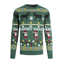 Pull unisex JORHOHO Jack & Jones 12221312  Vert