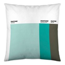 Housse de coussin Wide Stripes Pantone Localization_B086JQG3ZF Réversible 50 x 50 cm