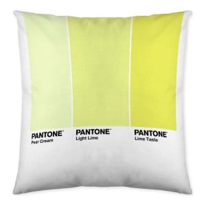 Housse de coussin Ombre C Pantone Localization_B086JQZYZH Réversible 50 x 50 cm