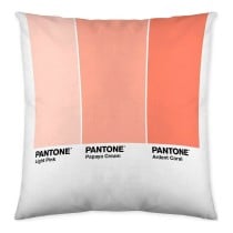 Housse de coussin Ombre B Pantone Localization-B086JQB7QD Réversible 50 x 50 cm