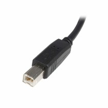 Câble USB A vers USB B Startech USB2HAB2M            Noir