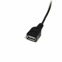 USB A to USB B Cable Startech USBMUSBFM1          