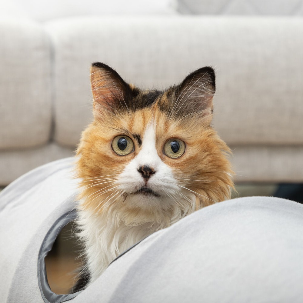 Collapsible Pet Tunnel Funnyl InnovaGoods