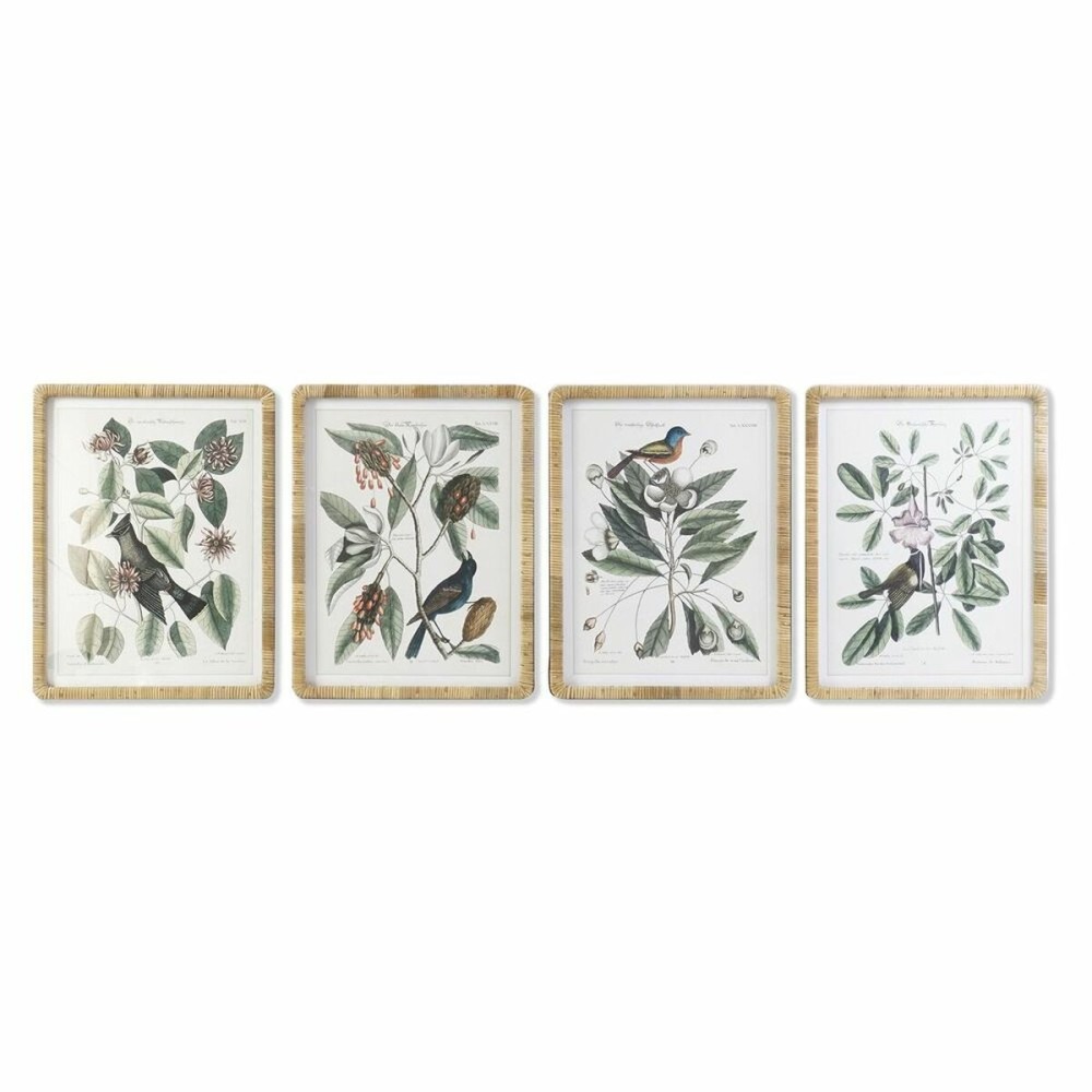 Bild DKD Home Decor 50 x 2,5 x 65 cm Shabby Chic Botanische Pflanzen (4 Stücke)