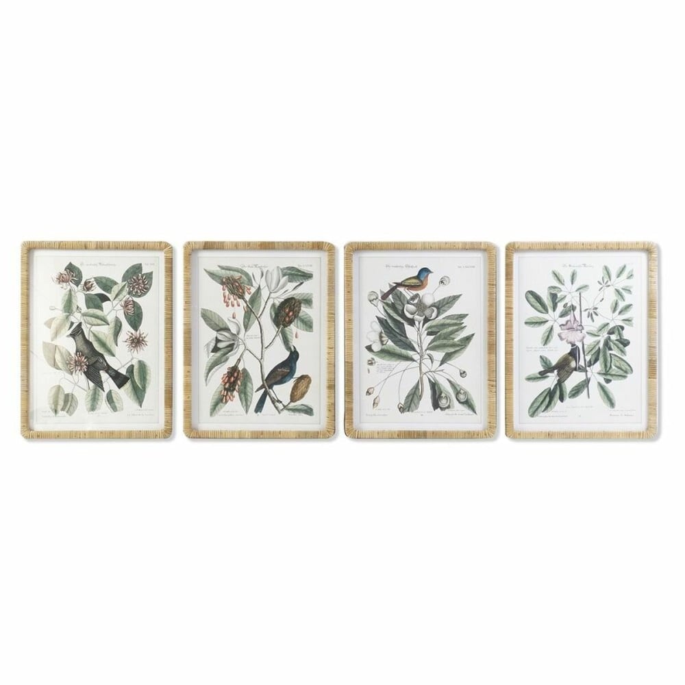 Cadre DKD Home Decor 50 x 2,5 x 65 cm Shabby Chic Plantes botaniques (4 Pièces)